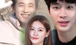 麻豆H,揭秘时尚界的璀璨新星